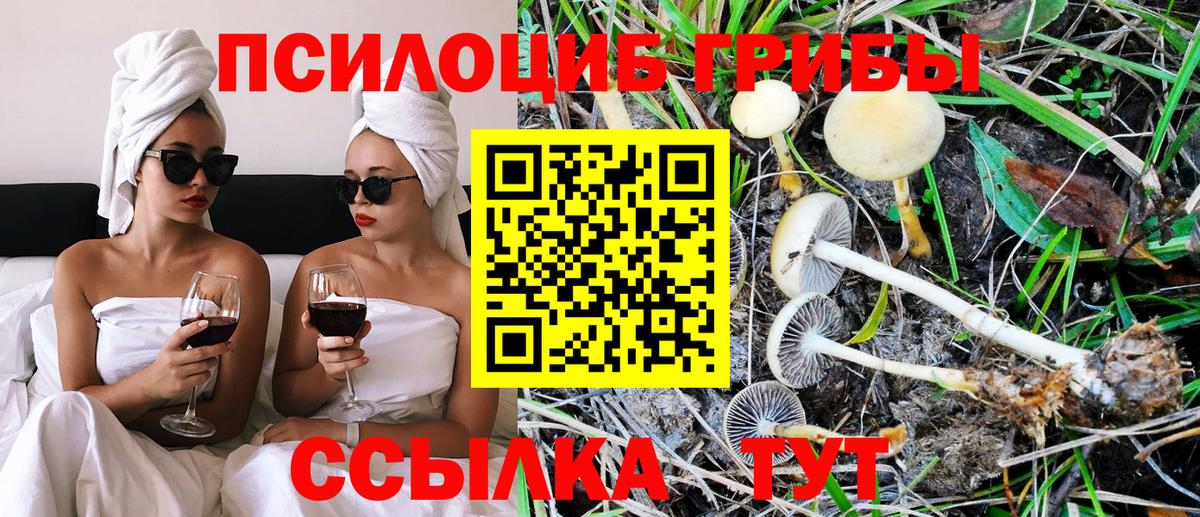 Псилоцибиновые грибы ЛСД  наркота  Севастополь  Вход с VPN  Галлюциногенные грибы мицелий 
